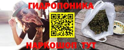 spice Рязань