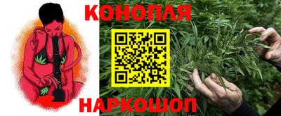 spice Рязань