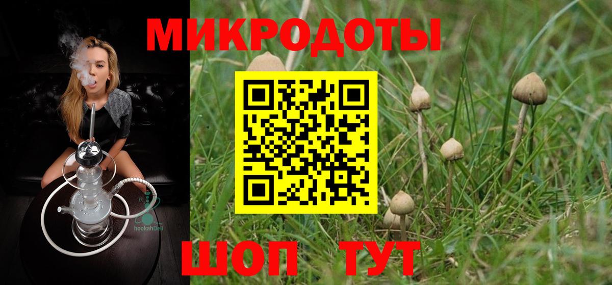 Галлюциногенные грибы Psilocybine cubensis  Галлюциногенные грибы мицелий  наркота  Вход с VPN  Александров 