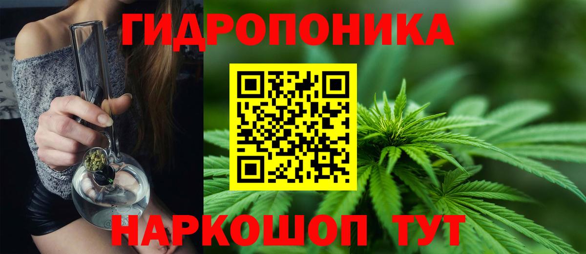 Каннабис гибрид  Вход с VPN  Бошки марихуана VHQ  Каннабис конопля  Александров  Марихуана SATIVA & INDICA 